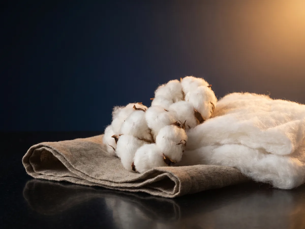 Cotton reference image